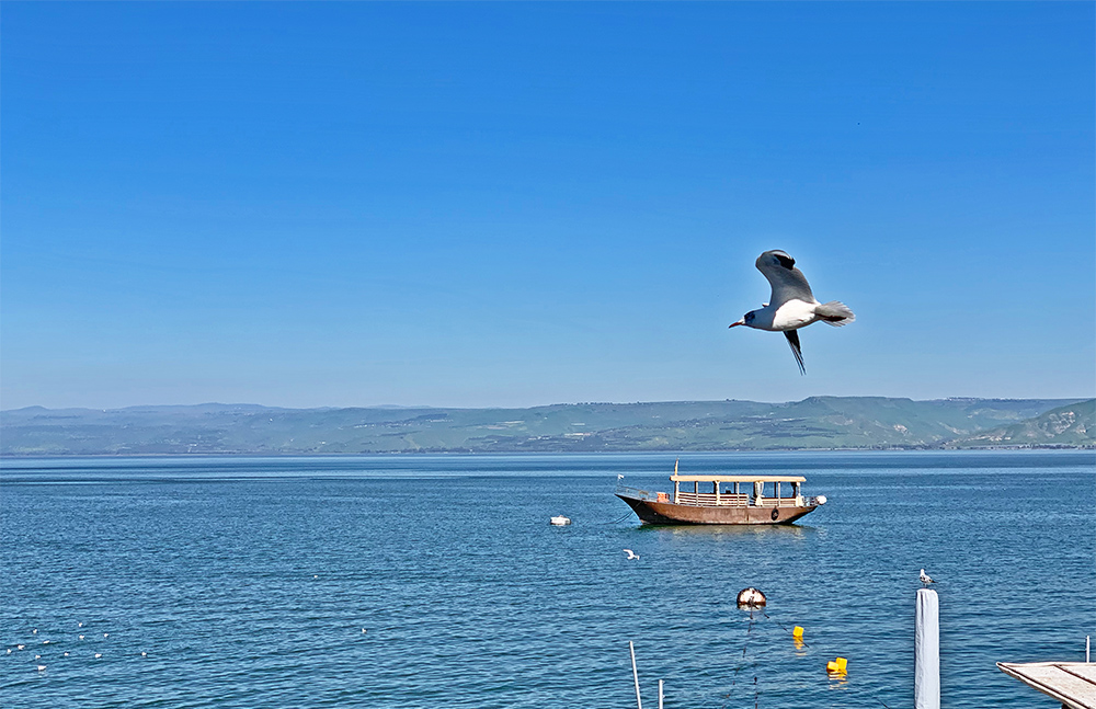 Sea of Galilee